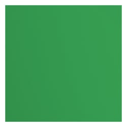 Papier cartonné texturé Florence - Holly - 20 feuilles - 30,5 x 30,5 cm - 216 g/m²