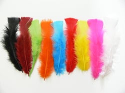 150 Plumes Duvet 15 cm - 25 gr - assorties