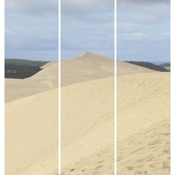 Triptyque sur toile dune Pilat 90x97 cm
