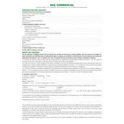 Dossier location commerciale - Vert - x 5 - Exacompta