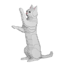Chat blanc debout | JEKCA | 14 ans et +