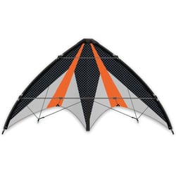 Cerf-volant Air Sport Synergy 125 GX - Günther