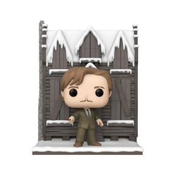 Harry Potter et la chambre des secrets - Figurine Anniversary POP! Shrieking Shack w/Lupin 9 cm