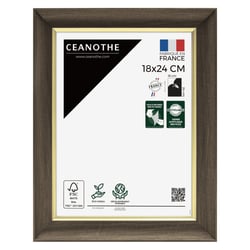 Cadre photo Luna ébène doré 18x24 cm