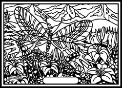 Tableau velours a colorier Papillon Bhoutan Sericolor