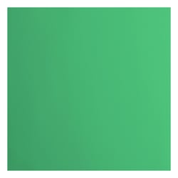 Papier cartonné Florence - Lisse - 20 feuilles - Emerald - 30,5 x 30,5 cm - 216 g/m²