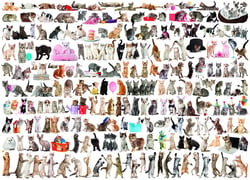 Puzzle 1000 pièces - Un Monde de Chats - Eurographics