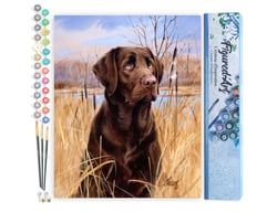 Peinture par Numéro Figured'Art - Chien labrador - Kit de Loisir Créatif DIY Numéro d'Art Complet - 40x50cm sans châssis en bois