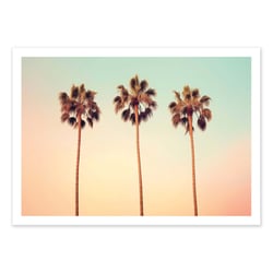 Affiche 30x40 cm - California Hollywood Palms - Philippe Hugonnard