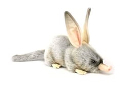 Bilby 35cmL -  Hansa