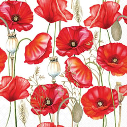 Lot de 4 serviettes en papier découpage collage 33 cm FLEUR COQUELICOT FOND BLANC F 4004