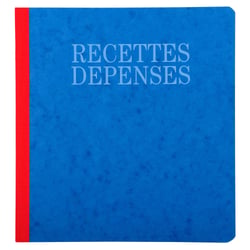 Piqûre 21x19cm recettes-dépenses 80 pages - Couleurs assorties - x 5 - Exacompta