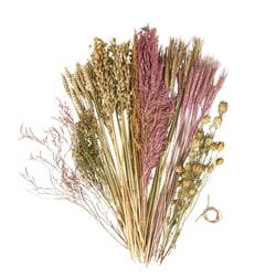 Assortiment de fleurs séchées