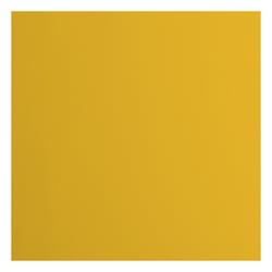Papier cartonné Florence - Lisse - 20 feuilles - Bee - 30,5 x 30,5 cm - 216 g/m²