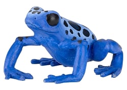 Figurine Grenouille équatoriale bleue - Papo