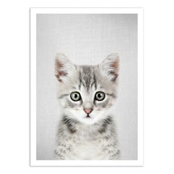 Affiche 30x40 cm - Kitten - Gal Design