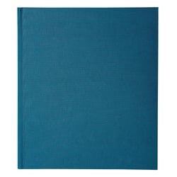 Registre 32x27cm Enregistrement du courrier 26 lignes 200 pages - Bleu - Exacompta