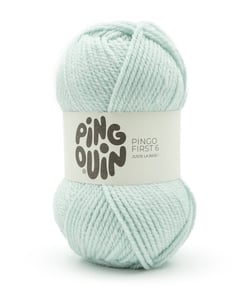 Pelote à Tricoter PINGO FIRST 6 - 100 g - Pingouin : Douceur, Polyvalence et Petit Prix VERT D EAU