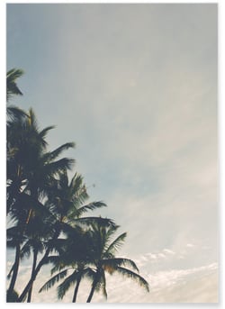 Poster Palmiers Tropicaux | A3 : 29,7x42cm