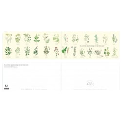 Longue vue editions - Plantes aromatiques de France - Carte double