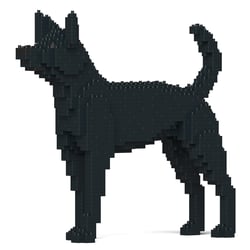 Chien de Taïwan Taille standard | JEKCA | 14 ans et +