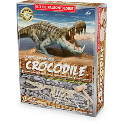Kit Paleo - Crocodile - Ulysse