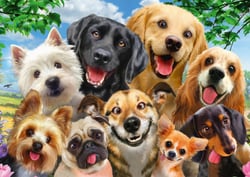 Puzzle 500 pièces - Dogs' Selfy - Schmidt Spiele