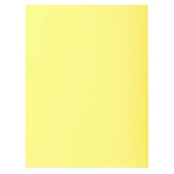 Paquet 100 chemises SUPER 210 - 24x32cm - Canari - x 5 - Exacompta