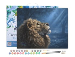 Peinture par Numéro Figured'Art avec Cadre - Lion dans la pénombre - Kit de Loisir Créatif DIY Numéro d'Art - 40x50cm toile tendue sur châssis