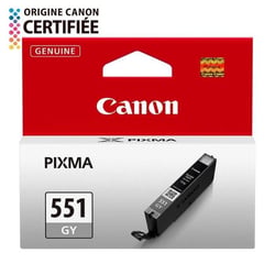 Cartouche d'encre CLI-551GY Gris