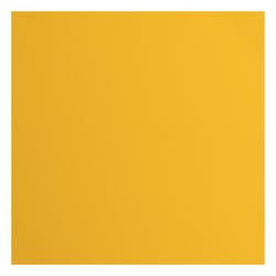 Papier cartonné texturé Florence - Tous niveaux - 20 feuilles - Honey - 30,5 x 30,5 cm - 216 g/m²