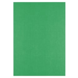 Papier cartonné Florence - 100 feuilles - Holly - A4 - 250 g/m²