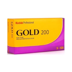 Kodak PK5 120 Gold 200 – Film Moyen Format Couleur, ISO 200, Pack de 5 Rouleaux, Grain Fin, Rendu Couleur Naturel, Haute Définition, Polyvalent Lumière du Jour
