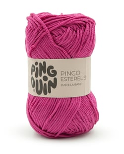 Pingo Esterel 3