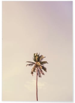 Poster nature Palm Trees 6 | A3 : 29,7x42cm