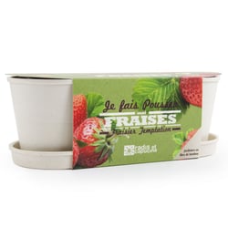 Jardinière en bambou Fraisiers - Radis et Capucine