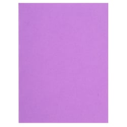 Paquet de 100 chemises FLASH 220 100% recyclé - 24x32cm - Lilas - x 5 - Exacompta