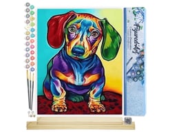 Peinture par Numéro Figured'Art - Petit Chien coloré - Kit de Loisir Créatif DIY Numéro d'Art Complet - 40x50cm toile roulée + châssis en bois à monter