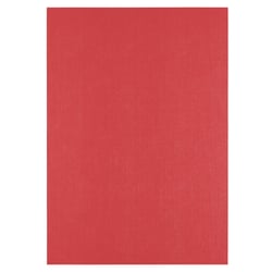 Papier cartonné - Florence - 100 feuilles - Poppy - A4 - 250 g/m²
