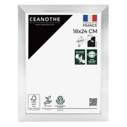 Cadre photo Precious acier 18x24 cm