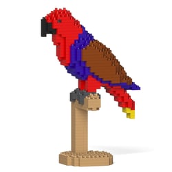 Grand Éclectus rouge | JEKCA | 14 ans et +
