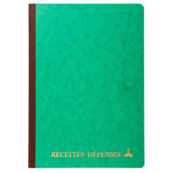 Piqûre 297X210 Recettes-dépenses 80 pages - Couleurs assorties - x 10 - Le Dauphin