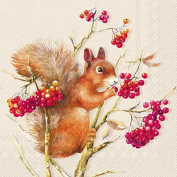 Lot de 4 serviettes en papier découpage collage 33 cm ECUREUIL FRUIT A 317