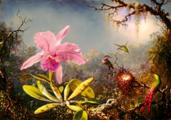 Puzzle 1000 pièces - Martin Johnson Heade - Cattleya Orchid and Three Hummingbirds, 1871 - Bluebird Puzzle
