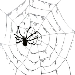Toile d'araignée géante - Ø 2,90 m