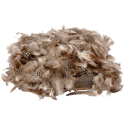 Plumes de pintade, ca. 1000 pièce, naturel, 50 gr/ 1 Pq.