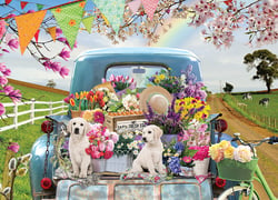 Puzzle 500 pièces - Truck de Printemps - Cobble Hill