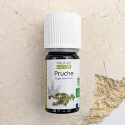Huile essentielle de Pruche Bio