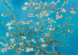 Puzzle 1000 pièces - Classiquecent Van Gogh - Almond Blossom, 1890 - Bluebird Puzzle