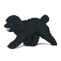 Chien Caniche Nain qui marche noir Taille standard | JEKCA | 14 ans et +